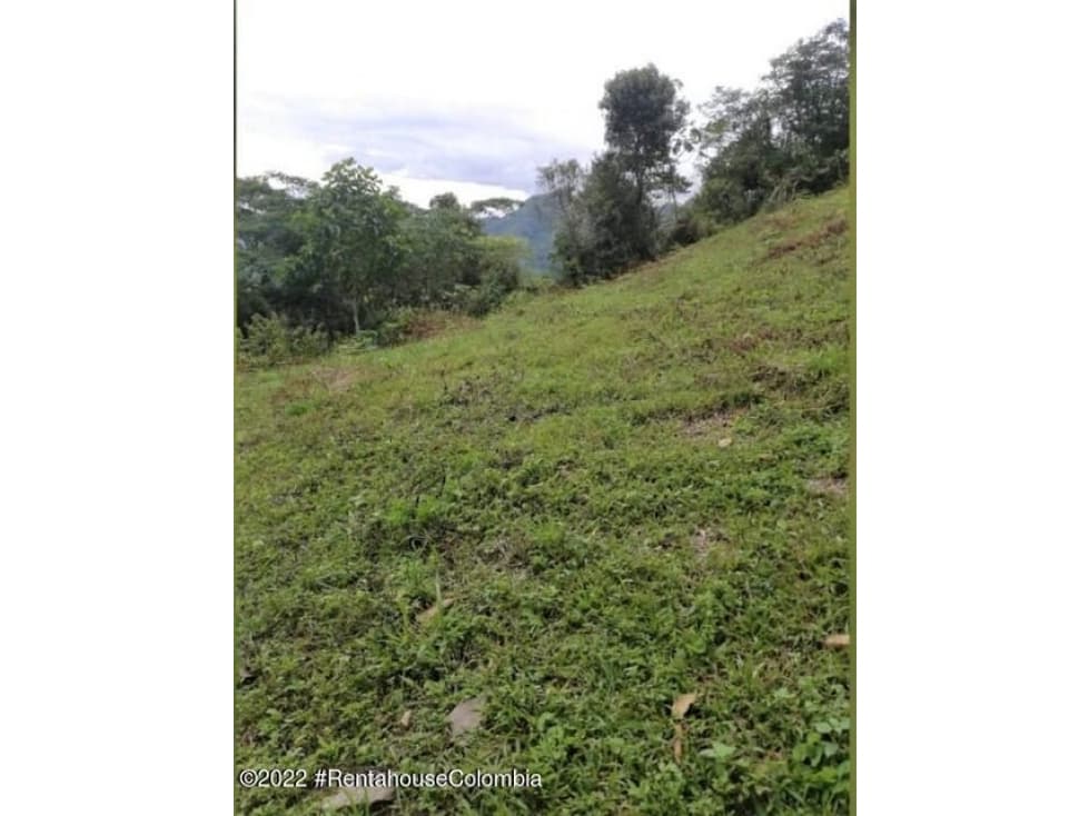 Lote en  Vereda San Bernardo C.O: 24-106 - 1