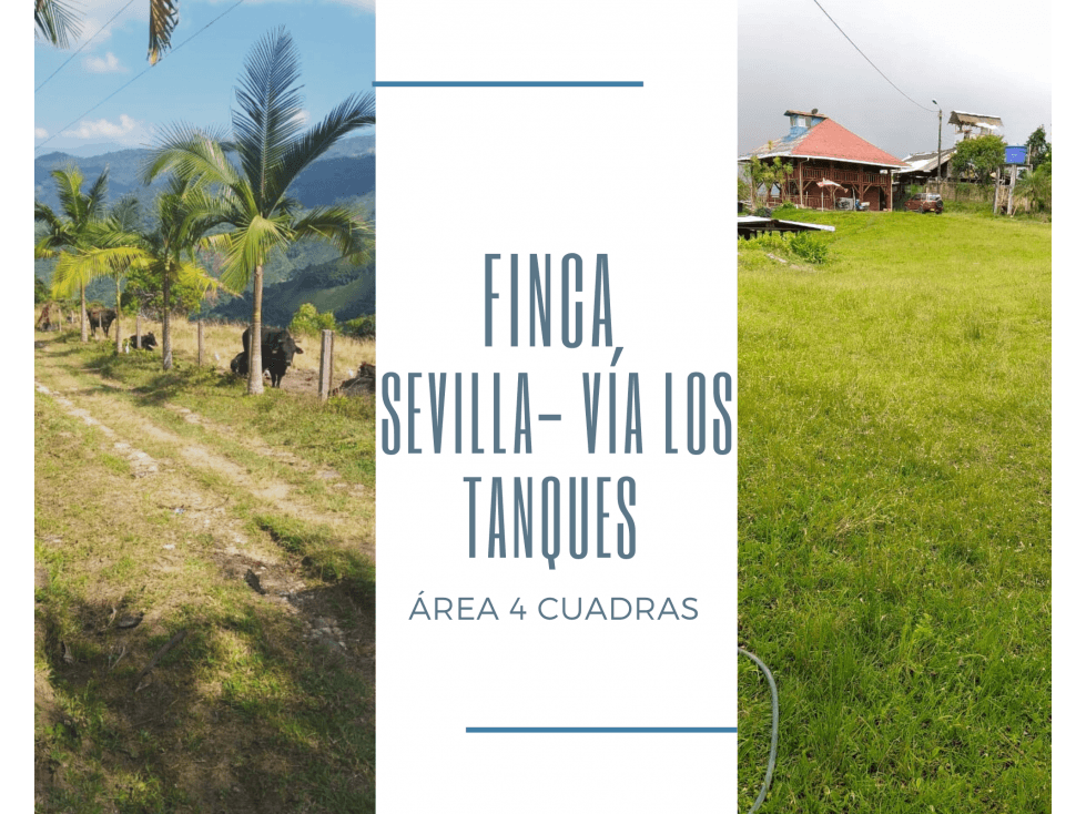 FINCA-CHALET SEVILLA- VÍA LOS TANQUES 4876 - 1