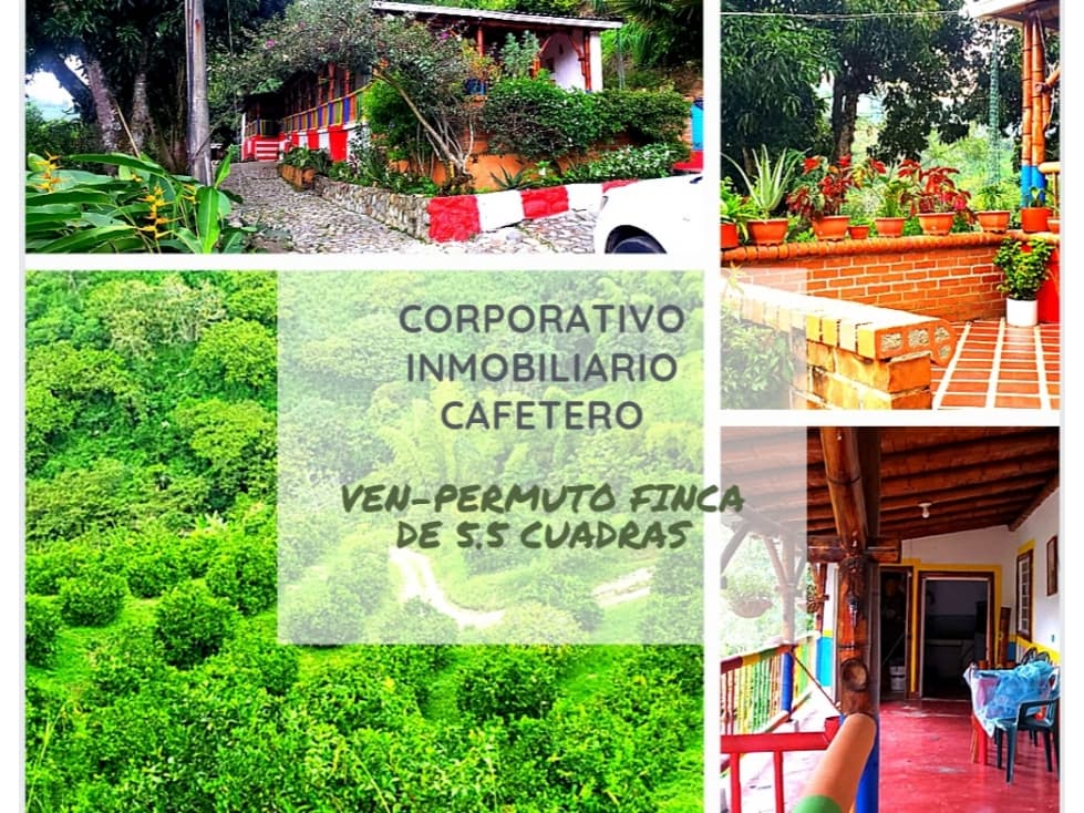VEN-PERMUNTO LOTE DE 5.5 CUADRAS  5563 - 1