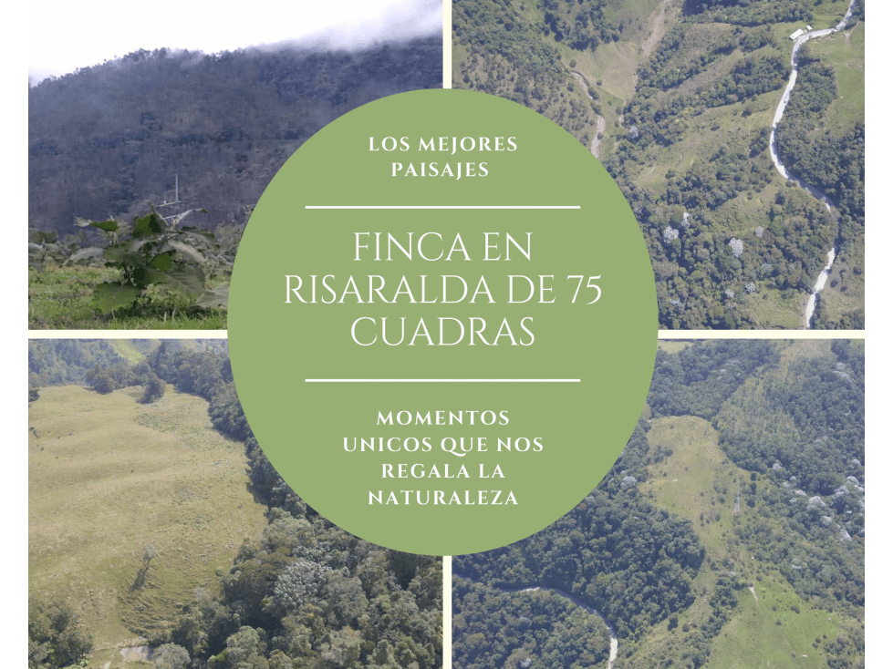 FINCA PARA LA VENTA PUEBLO RICO RISARALDA 9628-0 - 1