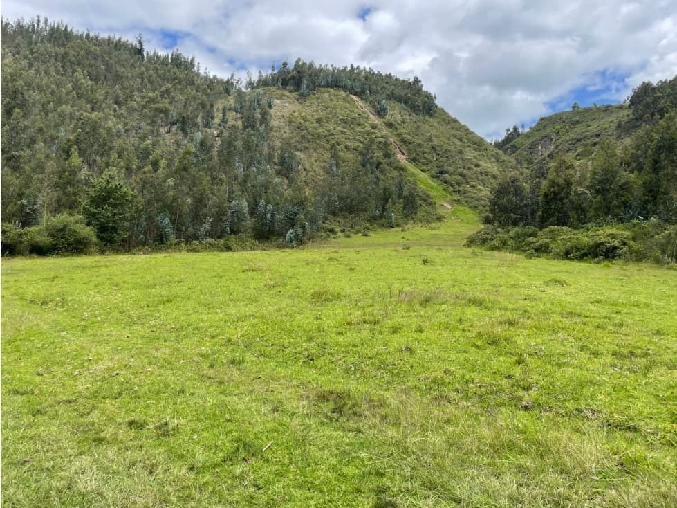 terreno tibasosa boyaca - 1