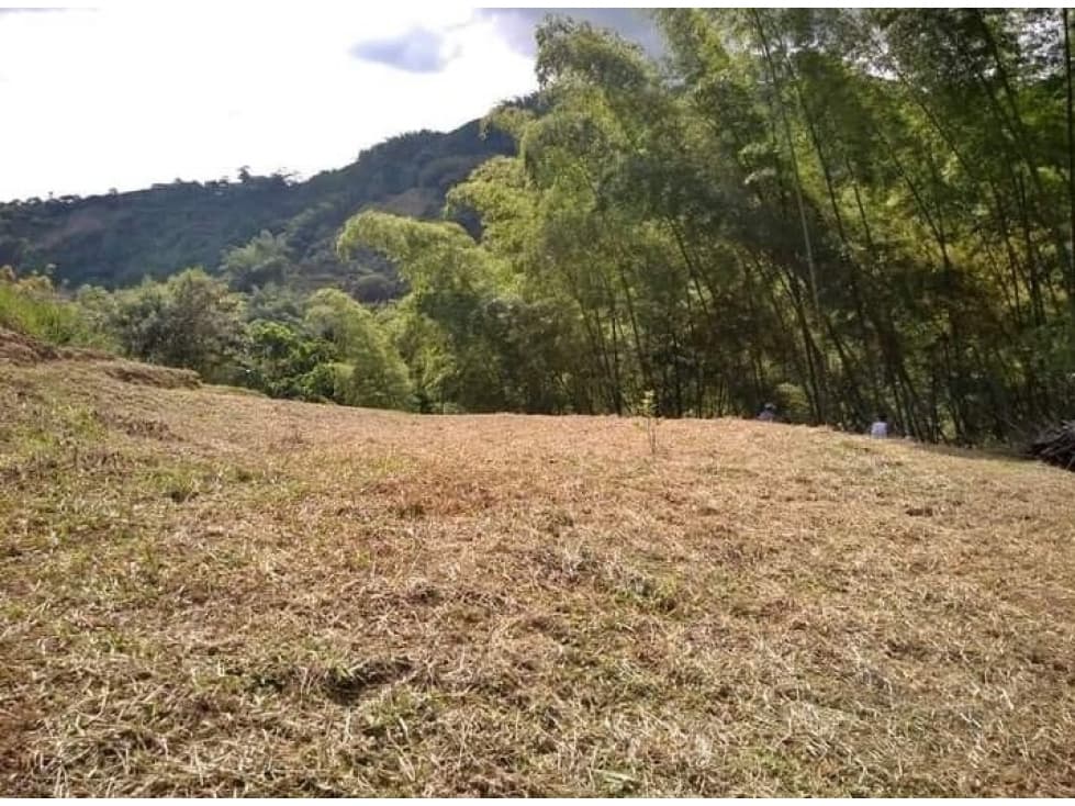 Venta Lote Vereda el Placer, Ulloa, Valle del Cauca - 1