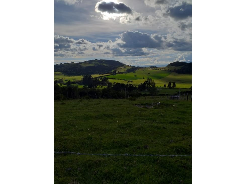 LOTE CAMPESTRE EN VENTA VIA PANTANO DE VARGAS FIRAVITOBA. - 1