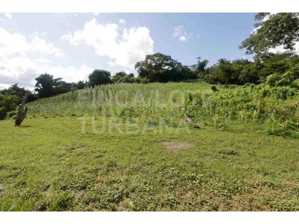 Turbana Venta Lote Turbana - 1
