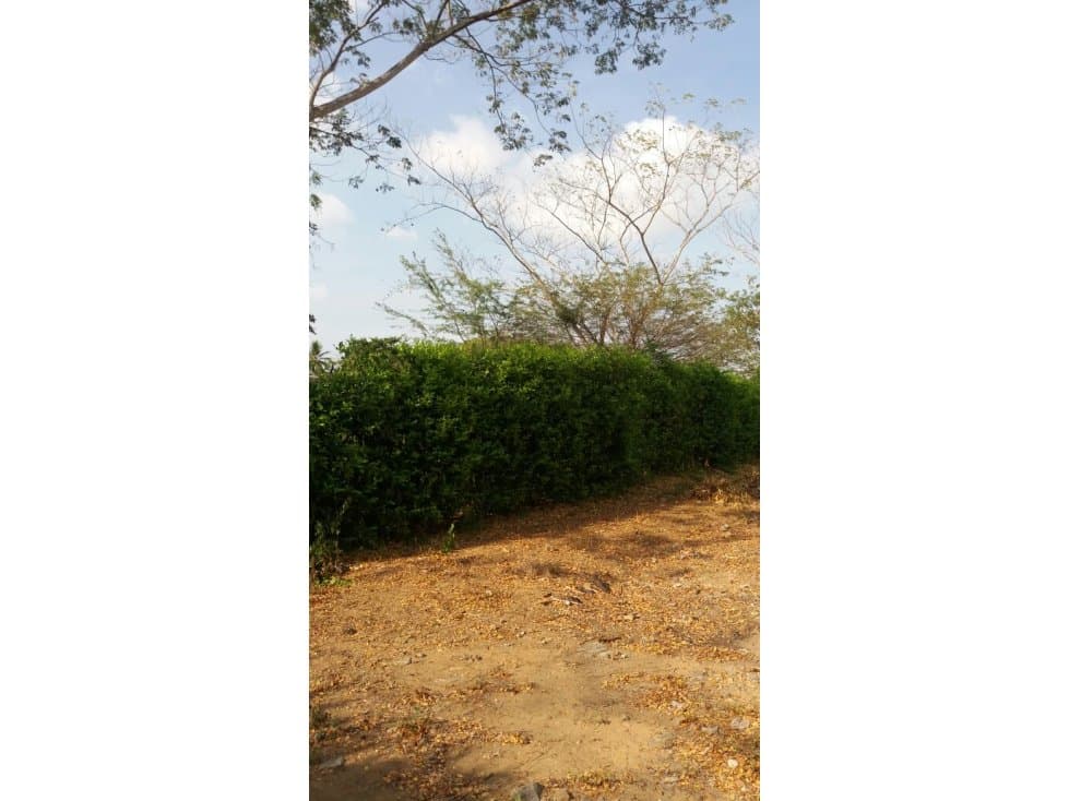 LOTE VIA PLANETA RICA CERCA A LA DOBLE VÍA 1.561m2 - 1