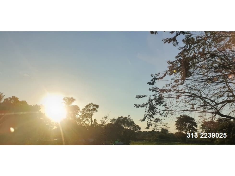 VENDO FINCA EN PUENTE NACIONAL- SANTANDER (REF F/113) - 1