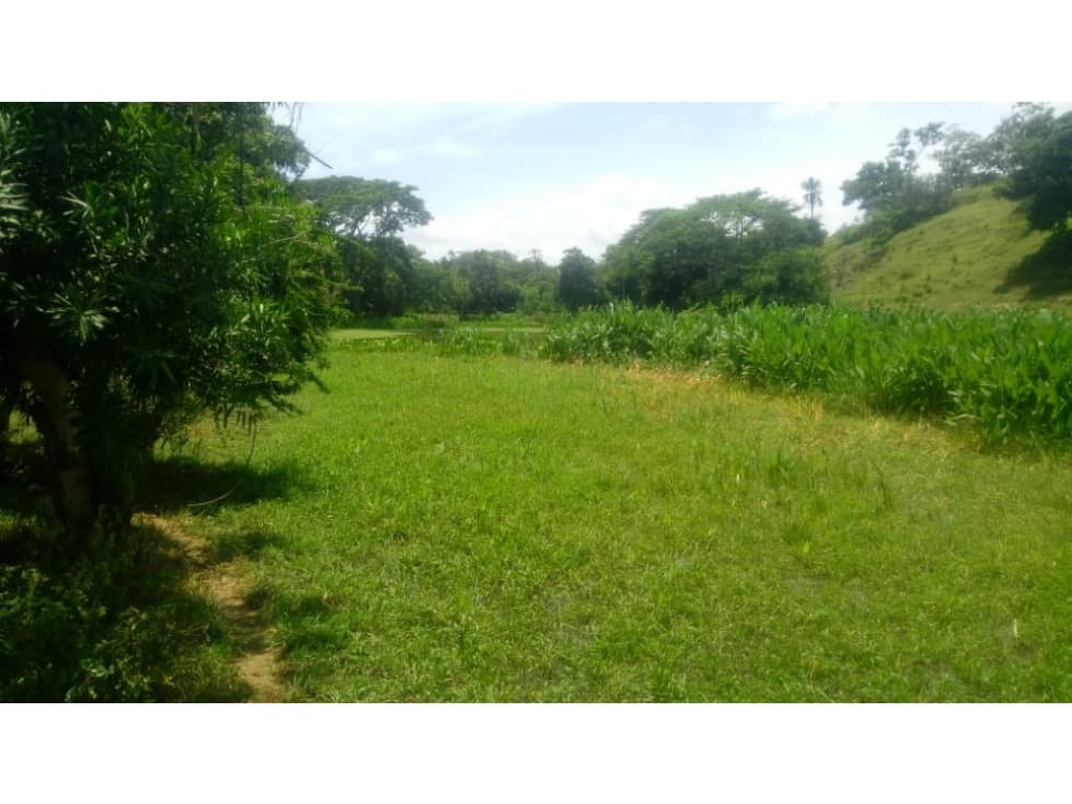 EN VENTA FINCA LOTE GANADERA EN SAN ANTERITO CORDOBA - 1