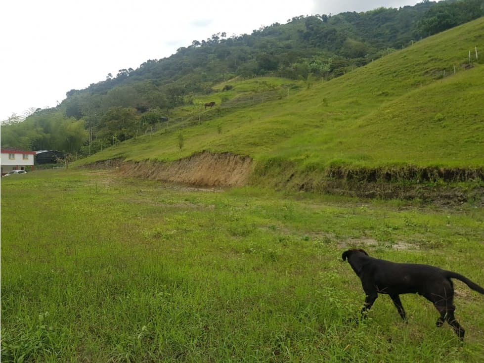 VENTA DE LOTE RURAL GENOVA - 1