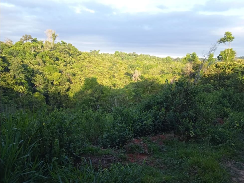 VENTA DE LOTE EN PUERTO BOYACA - 1