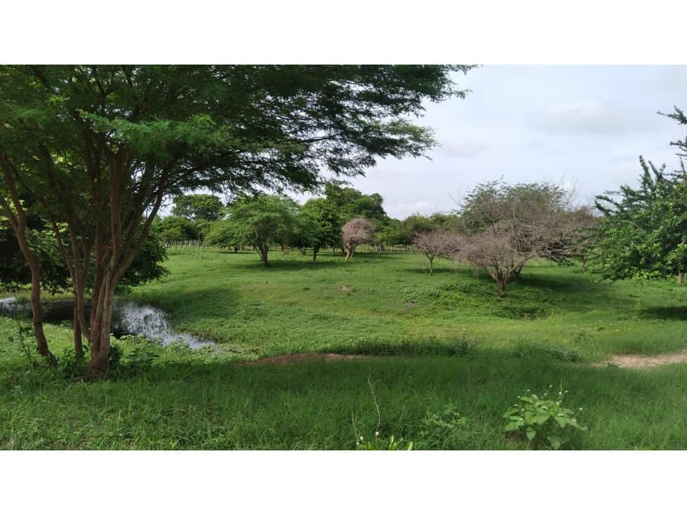 Se Vende Finca en Santa Rita/Ponedera - 1