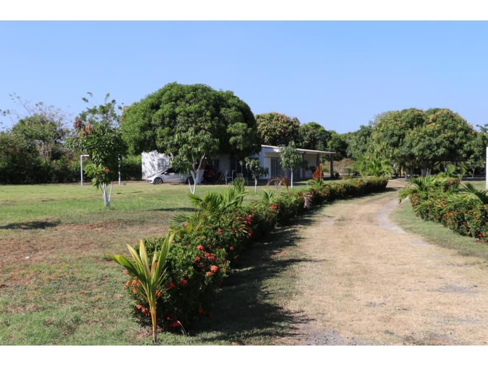 Se Vende Finca En Sabanagrade - 1