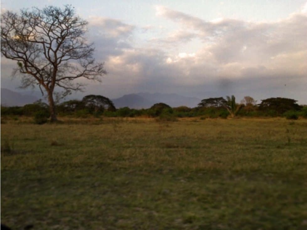 VENTA FINCA VALLEDUPAR MARIANGOLA - 1