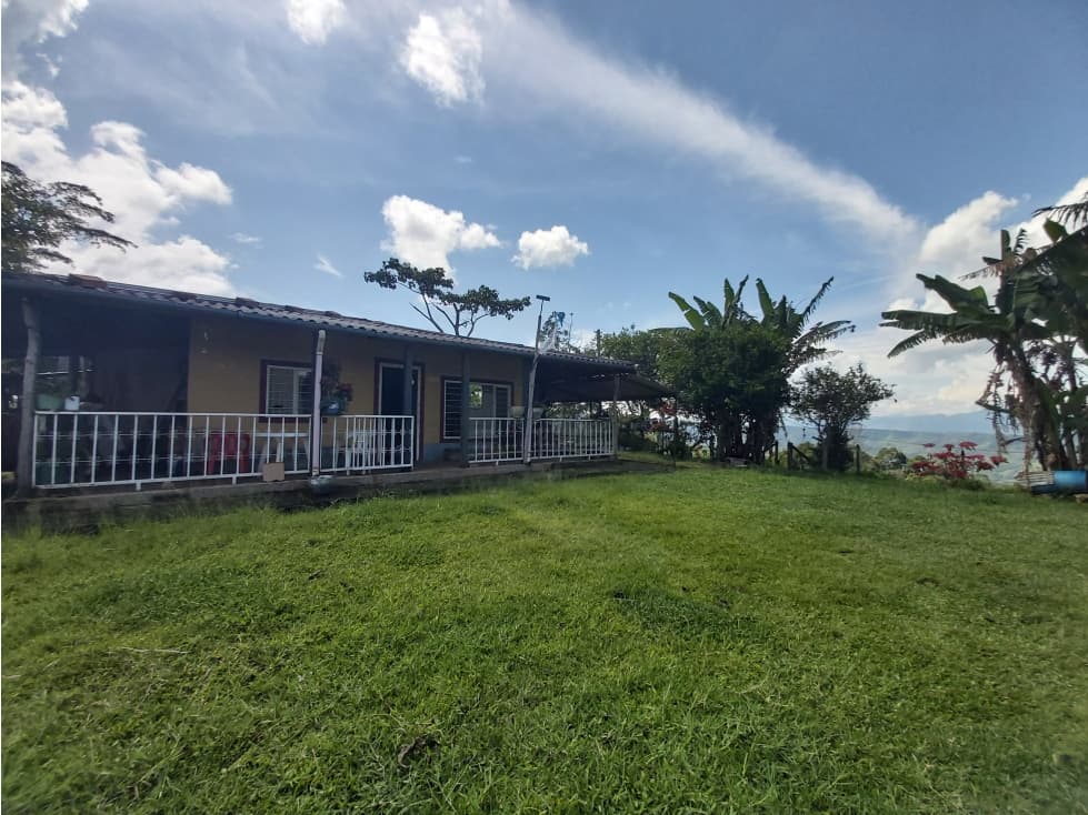 SE VENDE FINCA GANADERA 77.5 HECTAREAS - 1