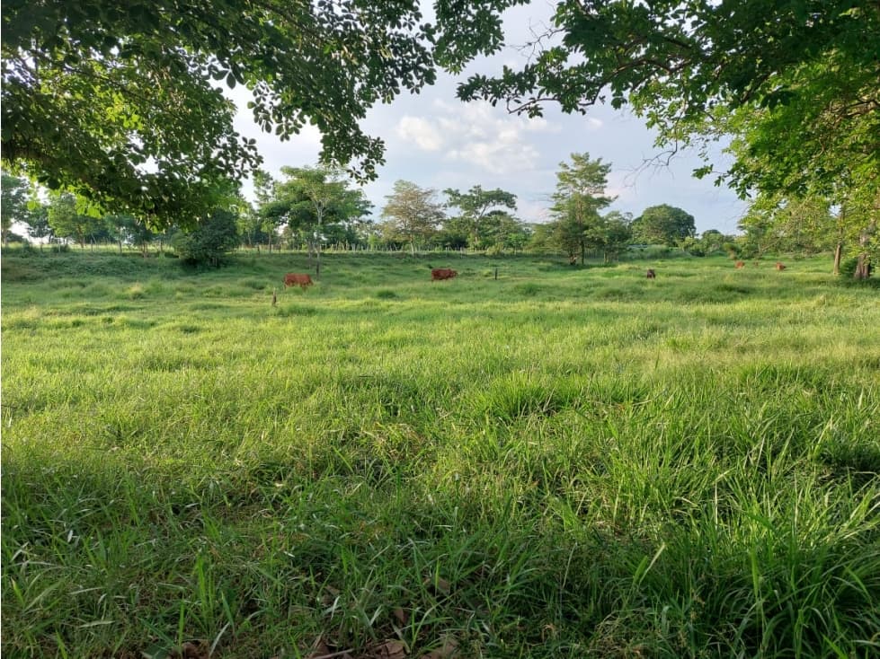 FINCA EN SAN CARLOS, CÓRDOBA - 1