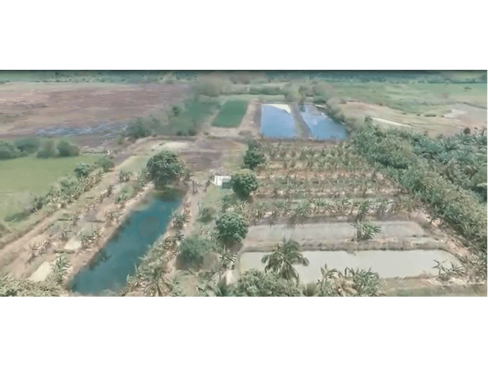 FINCA IDEAL PARA PISCICULTURA EN CORDOBA - 1