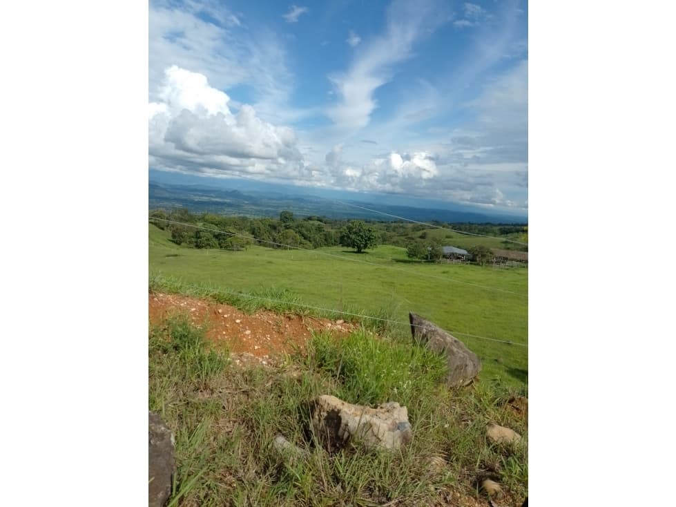 VENTA FINCA  EN TOLIMA A 8 KMS DE MARIQUITA (IM-FAB M) - 1