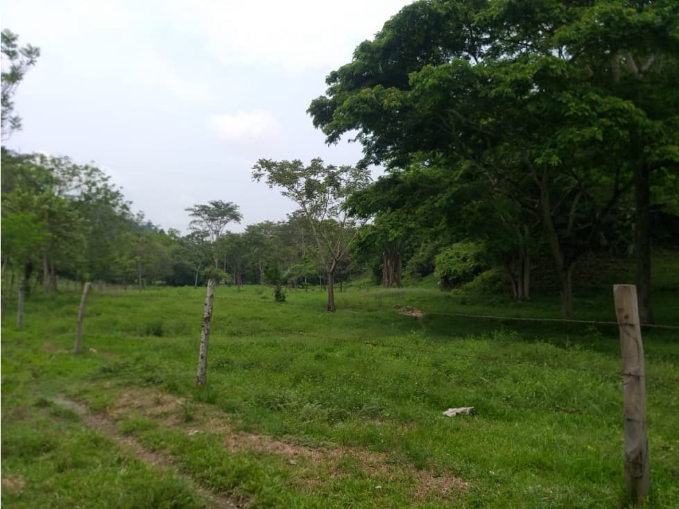 VENTA FINCA A 20 MINUTOS DE LA DORADA - 1