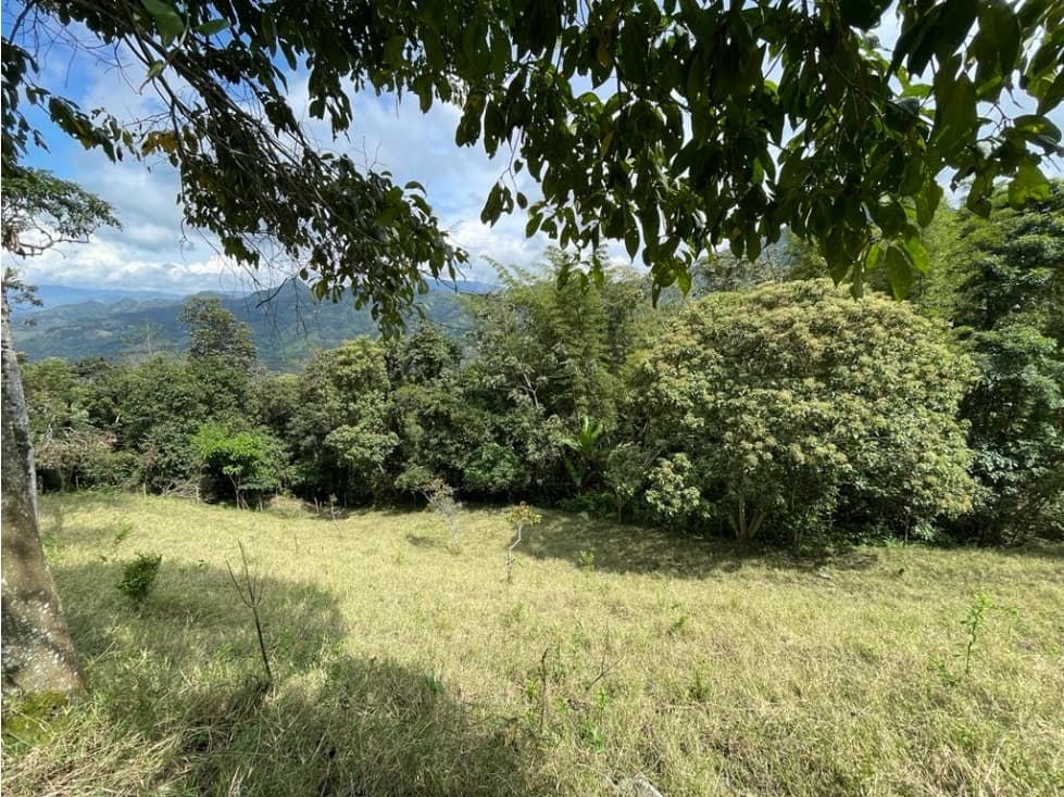 VENDO FINCA EN SAN ANTONIO CUNDINAMARCA - 1