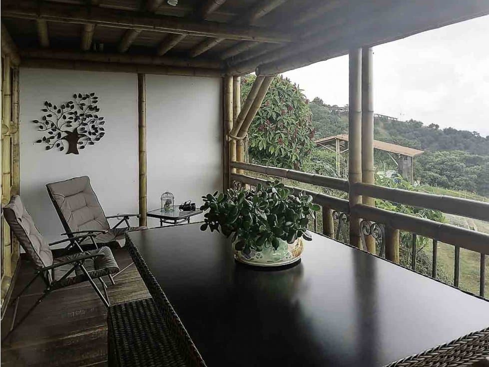 VENTA FINCA  AGUACATE HASS - PACORA CALDAS - 1