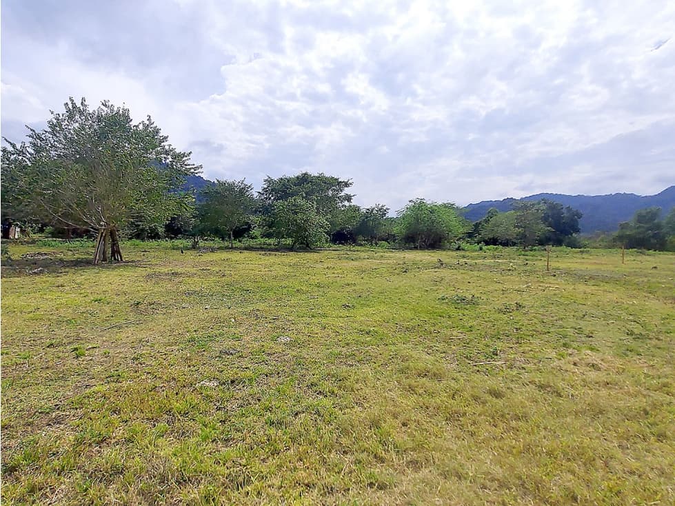 Lote Campestre en Venta en Palomino, La Guajira - 1
