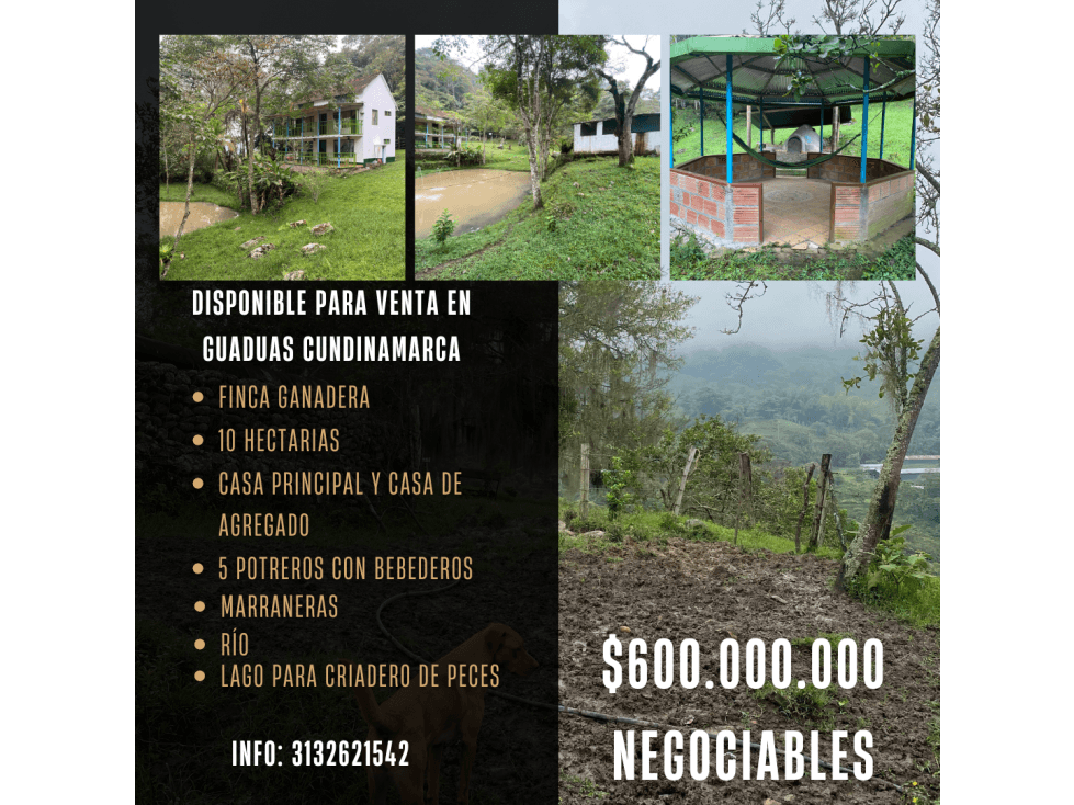 Linda Finca Ganadera o Piscicola Ubicada en Guaduas Cundinamarca - 1