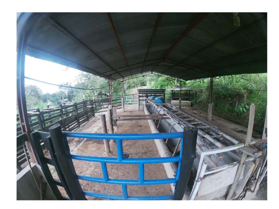 VENDO FINCA GANADERA GUADUAS - 1