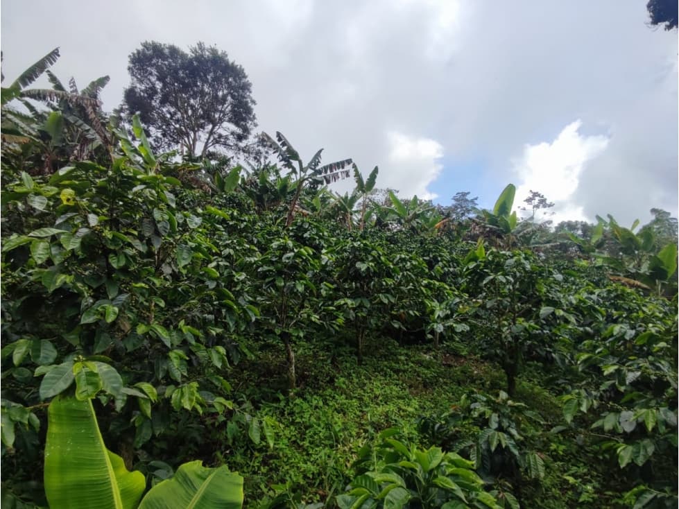 Vende Finca en Guaduas - 1