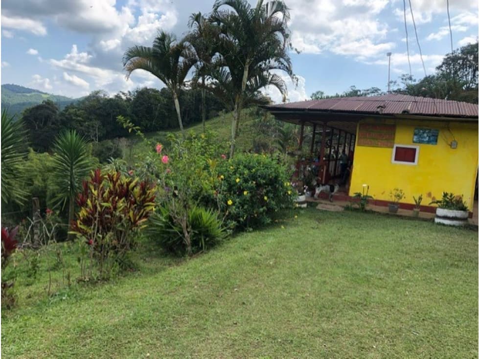 Finca Venta Darién Valle del Cauca - 1