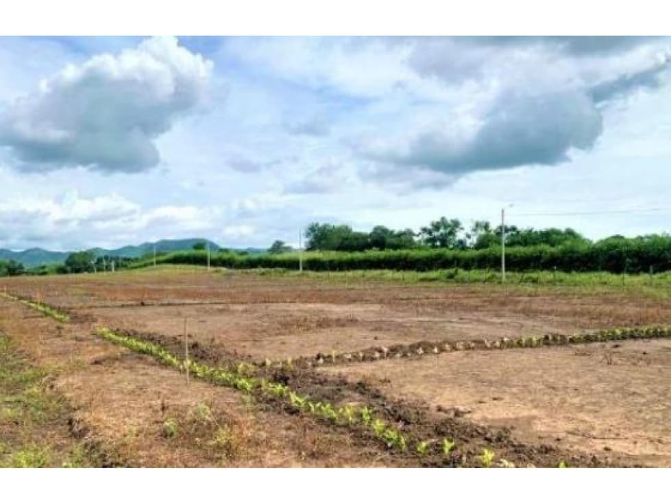 LOTE DE TERRENO EN NILO CUNDINAMARCA - 1