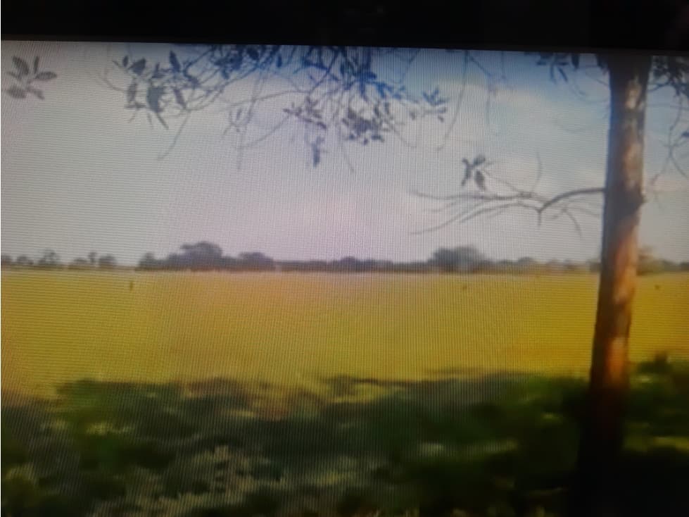 FINCA en VENTA en el META - 1