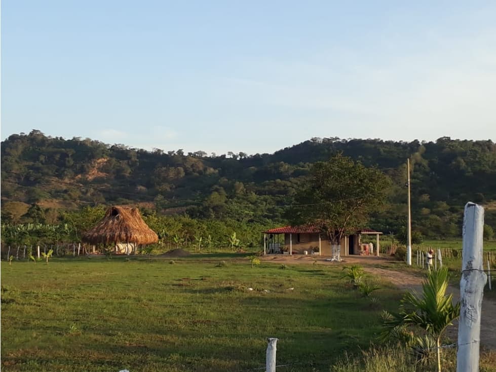 FINCA EN LOS PENDALES - A 5 MINUTOS DEL MUNICIPIO DE SANTA CATALINA - 1
