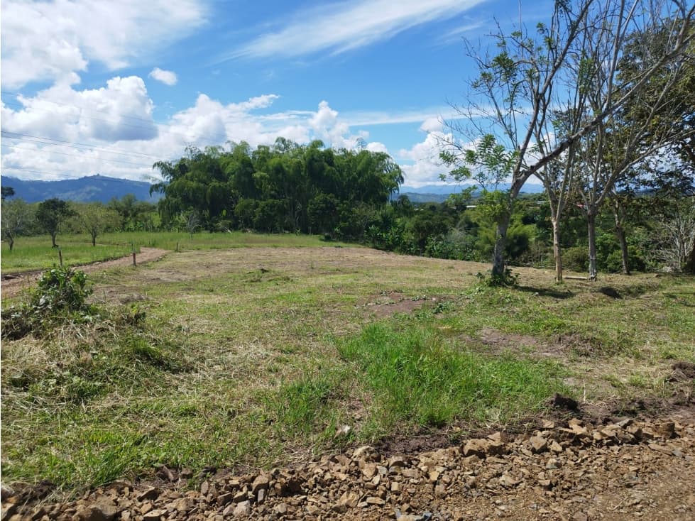 SE VENDE LOTE MUNICIPIO DE ULLOA PARCELACION TERRABELLA - 1