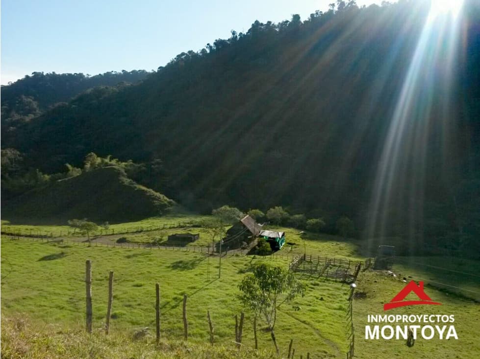 Finca de 400 cuadras en Pueblo Rico, Risaralda - 1
