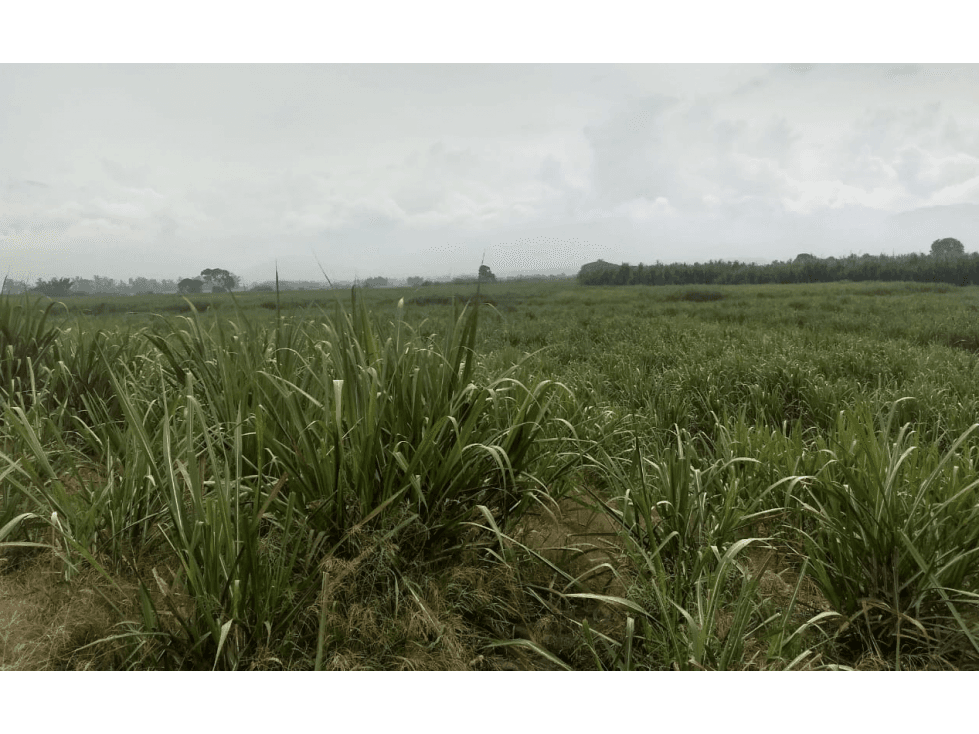 Finca Cañera Venta Miranda Cauca - 1