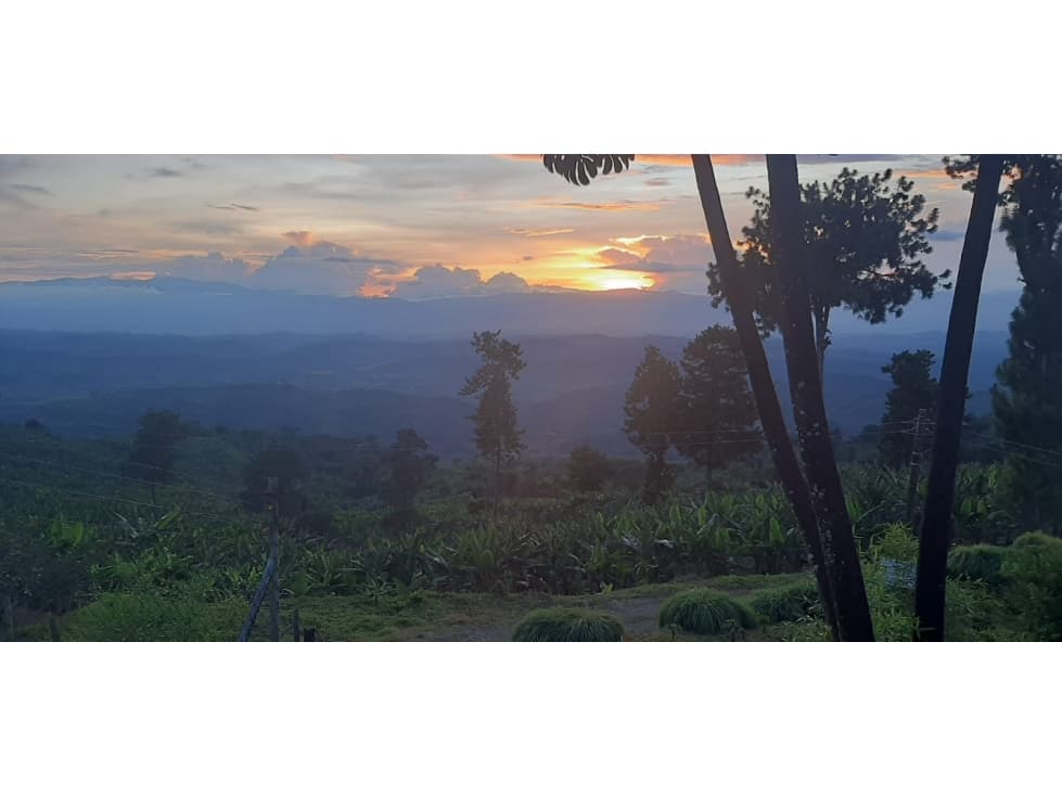 VENTA DE LOTE EN SEVILLA CON HERMOSA VISTA AL VALLE - 1