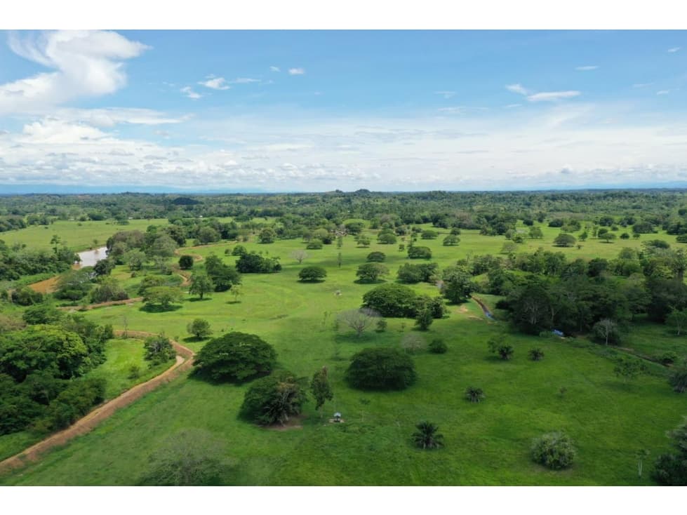 Venta de finca entre Puerto Boyacá y Puerto Berrio - 1