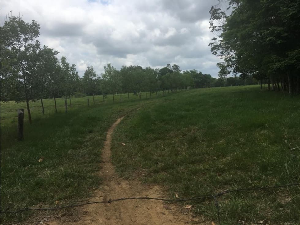 Venta de finca en Puerto Parra Santander - 1