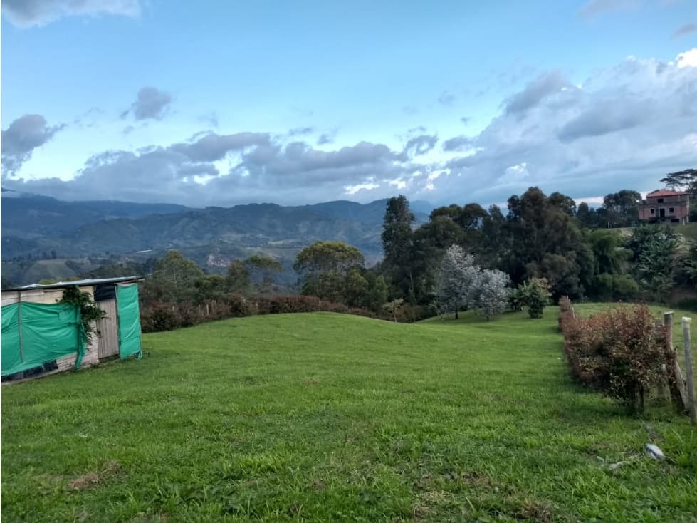 SE VENDE LOTE VEREDA LOS PINOS SALENTO - 1