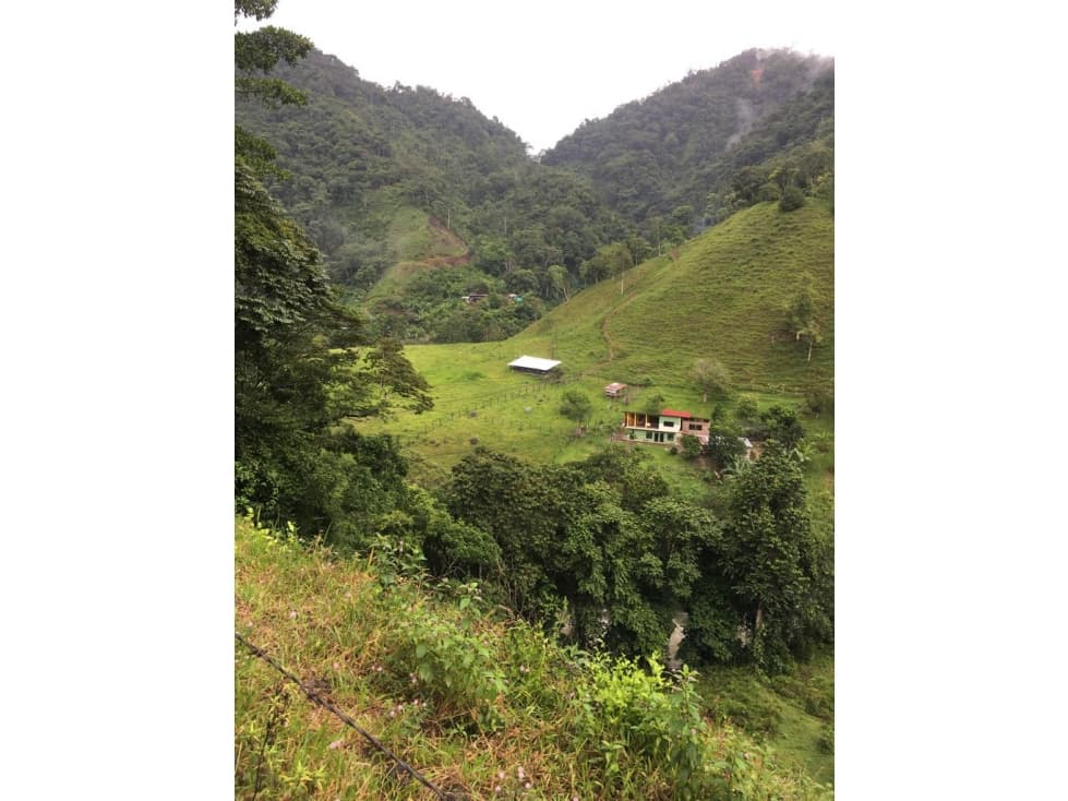 Venta Finca Pueblo Rico Risaralda COD: 6674464 - 1