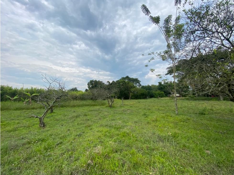 VENTA DE LOTE EN LA DOMINGA, MUNICIPIO DE GUACHENE - 1