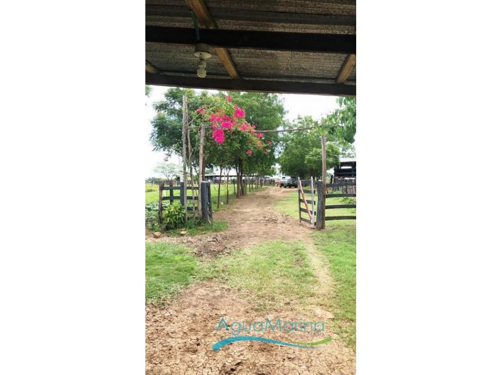 Finca Ariguaní Magdalena - 1