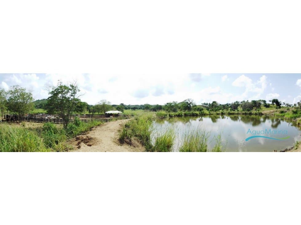 Finca en Zambrano Bolívar - 1