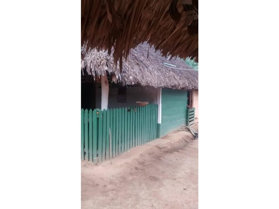 EN VENTA FINCA VIA A PLANETA RICA CORDOBA COLOMBIA - 1