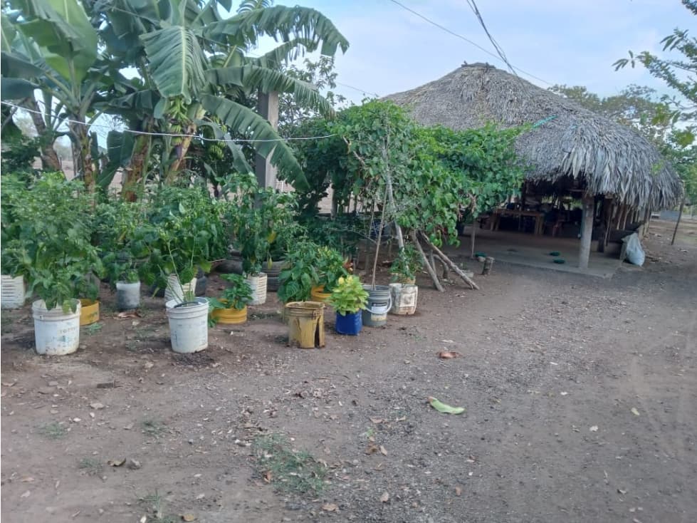 EN VENTA CASA FINCA EN TIERRA ALTA CORDOBA - 1