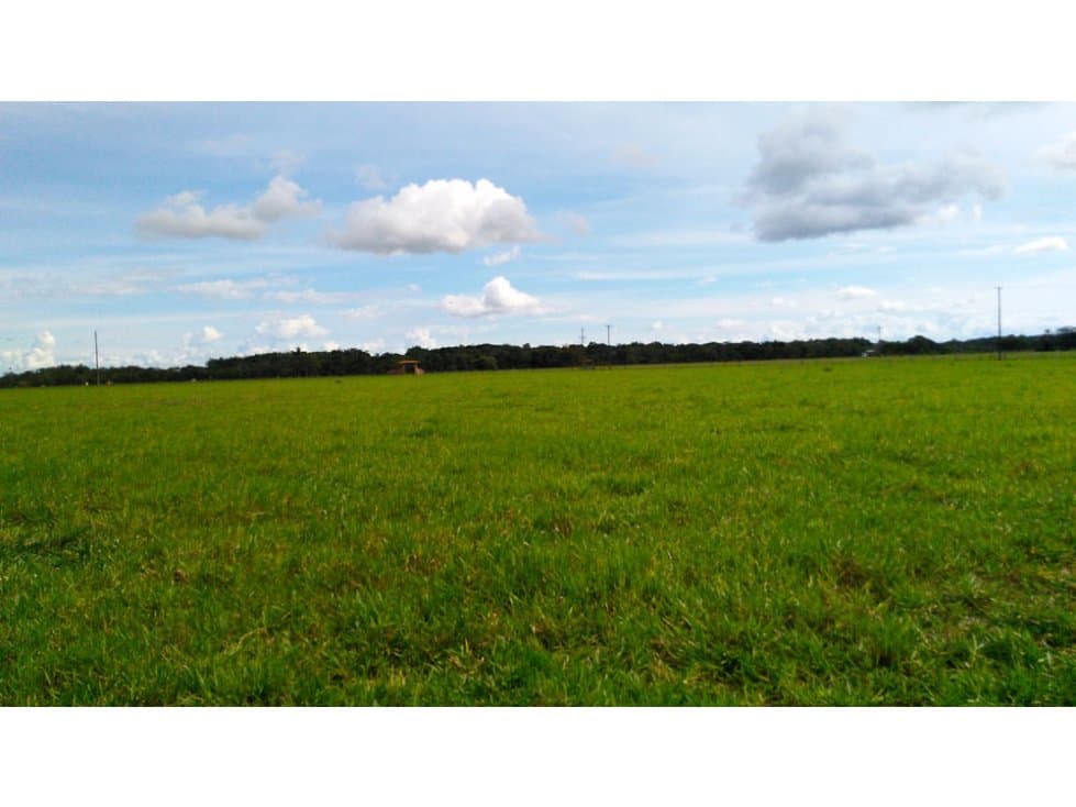 FINCA GANADERA DE 390 HECTAREAS EN SAN CARLOS DE GUAROA-META - 1