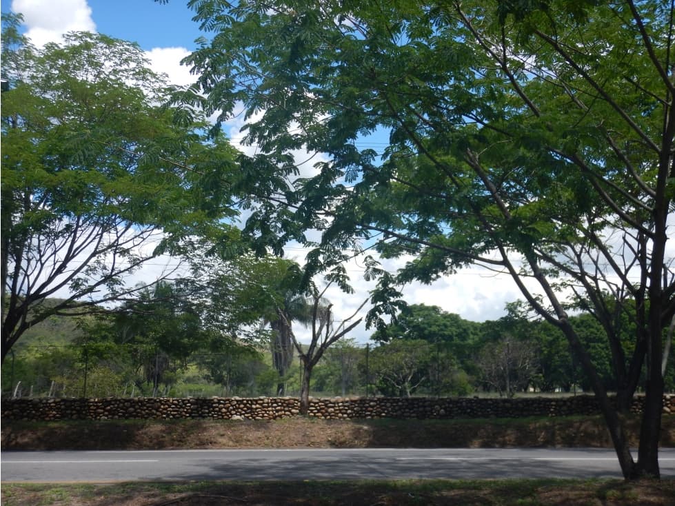 Venta de un Lote de terreno en Nilo Cundinamarca - 1