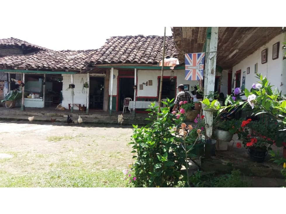 FINCA SAN JOSE  CALDAS EN PRODUCCION DE PLATANO, AGUAS - 1