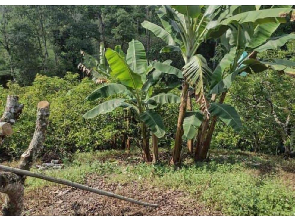 SE VENDE UNA CUADRA EN ULLOA - 1