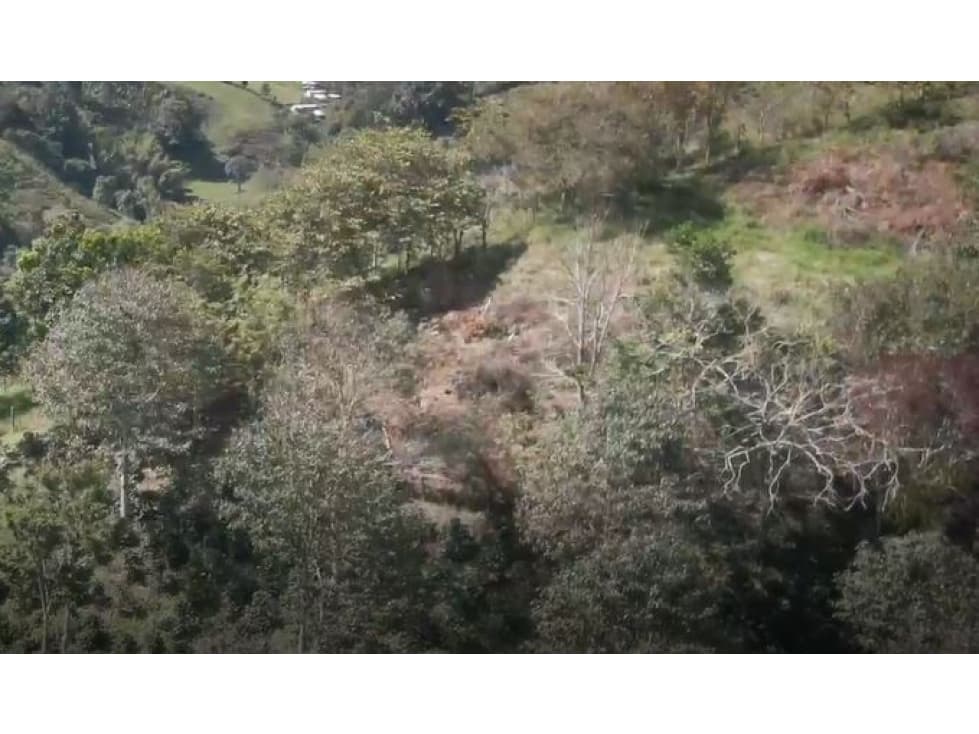 Se vende hermosa finca en el municipio de Apia!!! - 1