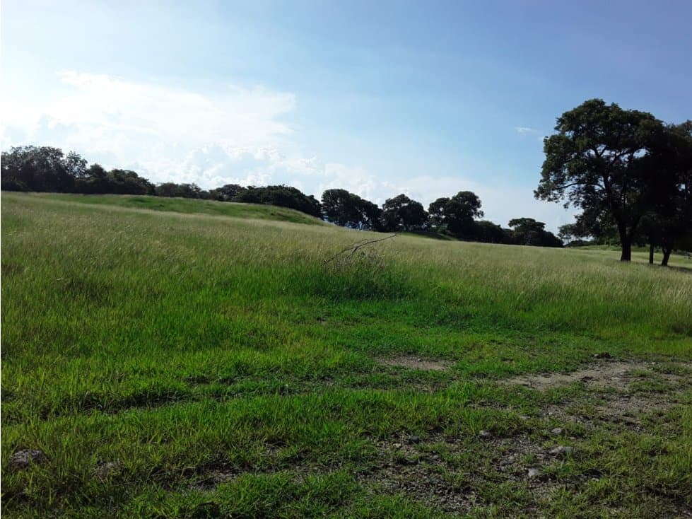 Finca en venta en Venadillo Tolima - 1